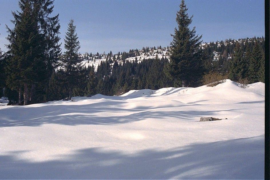 Albergo Al Pino Enego Exteriér fotografie